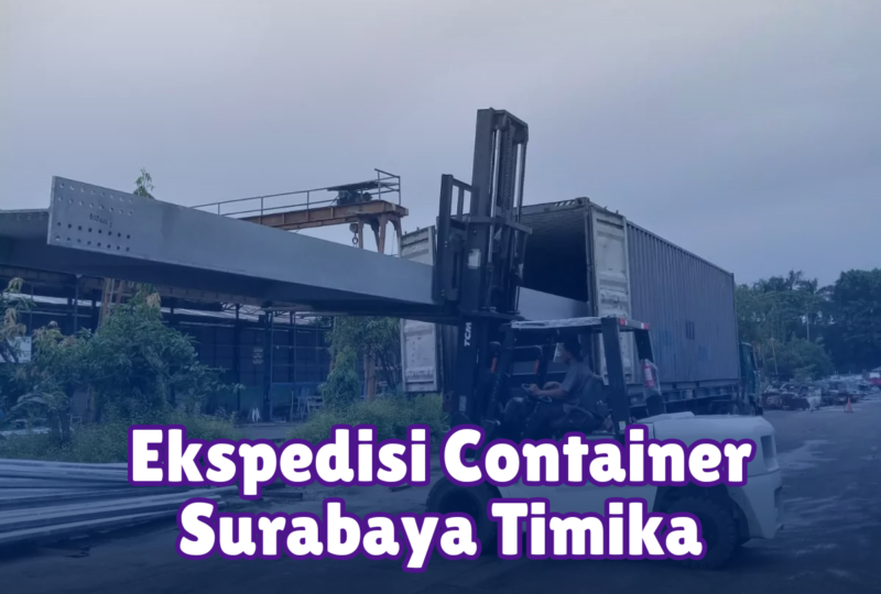 Ekspedisi Container Surabaya Timika