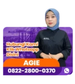 Marketing Agie