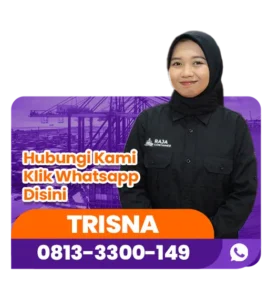 cta container trisna