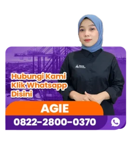 cta container agie